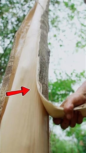 Traditional Paper Making