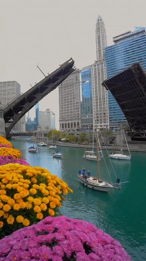 Like Chicago on Reels