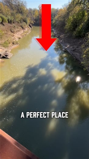 Garrett📍DFW Fishing on Instagram: "Gar fishing spot in Arlington! (Trinity River, River Legacy Parks) #fishing"