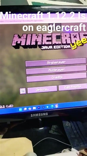 Minecraft 1.12.2 #minecraftjavaedition