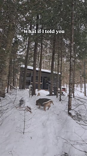 Matt Przybylski on Instagram: "These pups just discovered snow paradise and they’re LIVING for it 🐶❄️💨 Fresh powder zoomies, faces buried in drifts, tails helicoptering—pure dog joy. Then it’s back to our cozy cabin and straight into blanket-covered bliss. Zero regrets. Pro tip from this dayhikedad: they may love the snow, but they really love bringing their people along. Trails at the door, off-grid tiny cabins, adventure for the whole pack. Who’s bringing their furry co-pilot? Drop your dog’