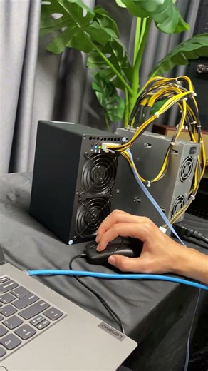 Small Box, Big Profit: Goldshell XT Box 📦💰