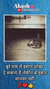 13K reactions · 267 shares | #viral #reels #explore #instagood #instadaily #reelsinstagram #viralvideos #instalike #instagram #reelitfeelit #motivationquotes #मोटीवेशन #motivated #motivatioquotes #motivated #motivational #motivationquotes #motivationquotes #motivationdaily #motivationeveryday #motivationforlife #motivationlife #viral #motivationalquotesdaily | Akash Waghmare | Facebook