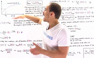 Catalytic Efficiency of Enzymes (kcat_Km)