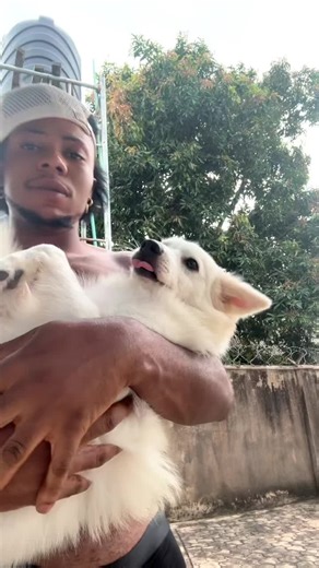 systemupdate200 (@systemupdate200)’s videos with original sound - 𝐋𝐲𝐫𝐢𝐜𝐬𝐟𝐫𝐞𝐬𝐡🕸️