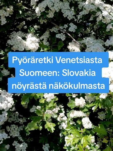 Tämä Samsung A36 olis ihan hyvä puhelin jos en olisi tehokäyttäjä. Vois kirjoittaa kirjan kuinka tämä ei sovi mun käyttötarkoituksiin. Mutta, hyödyllinen kapine kuitenkin! Jos tykkäät ja haluat parantaa videoita niin lahjoita uuteen: MobilePay — 8269UQ (profiilissa tilinum.)