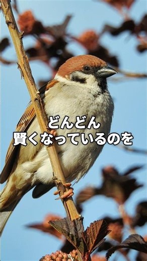 [Shocking] Are today's sparrows smarter than before? Their surprising intelligence is evolving in...