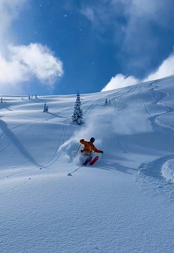 Experience the Thrill of Heliskiing in Winter