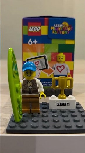 over view of my new lego minifigure