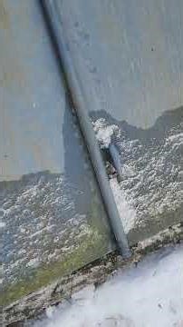 Mouse exclusion out in Hopkinton