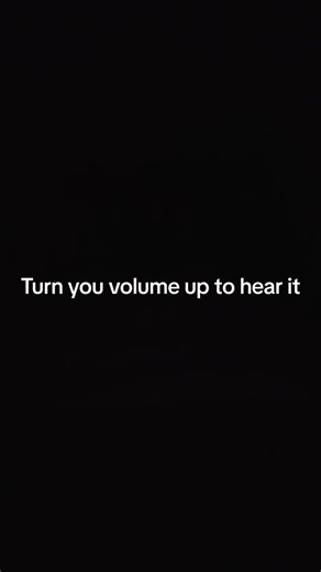 woop woop thats the sound of Police woop woop thats the sound of California the sirens have been going off for the past 20 minutes