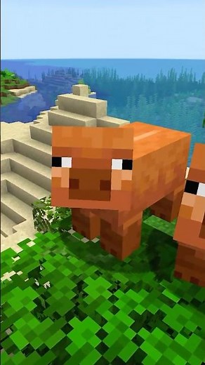 New Minecraft Update Features...