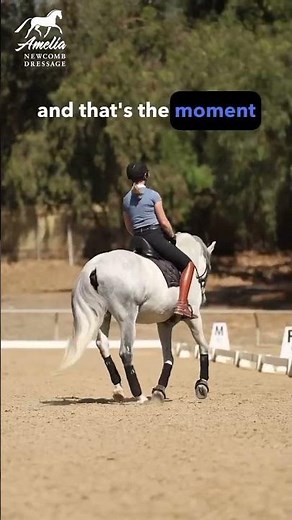 Timing the Canter Transition