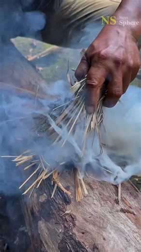 Primitive Fire Making in the Jungle | Bushcraft Survival Skills Without Matches