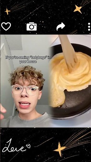 just look up what a asian lady beetle is 😭