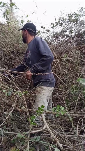 فيديوهات أنشأها امير (@coot.57) باستخدام الصوت الأصلي - زَ