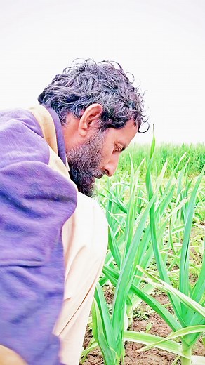 142K views · 2.8K reactions | #funnyreels# socialmediamarketing #fatalframes# facebooklife# ACE Of CLUBS Preloved bookshop#media# 헦ocial +# tag# Dsp Investigation Office Sargodha# ads# seo# teresinaforro | Waqar Aarzo | Facebook