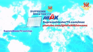 Supreme Master TV Max - Maximize Your Blessings at Home, Work, and Anywhere - - English