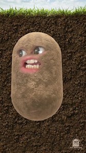 #stimuluscheck | Some Political Dude | Facebook