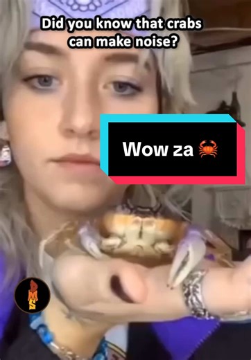 Discover Fascinating Facts About Crabs