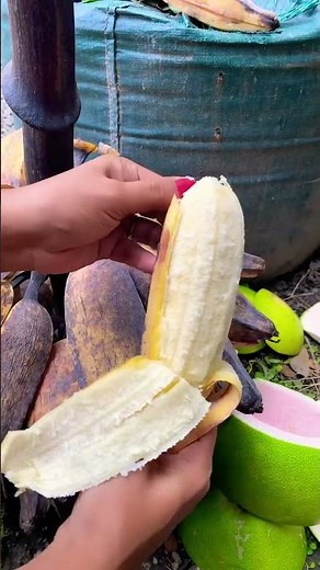 Sweet banana #banana