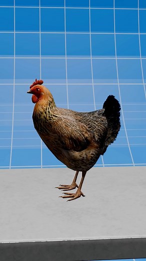 155K views · 1K reactions | The Headless Chicken That Survived For 18 Months  | The Outliners | Facebook