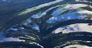 En Amazonie, les forêts protégées par les peuples autochtones font barrage à 27 maladies
