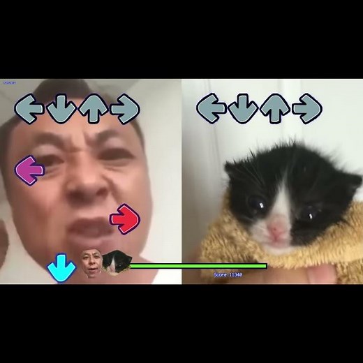 Angry Asian Man Yells at Kitten but its Friday Night Funkin - Dad Battle FNF Meme #Shorts