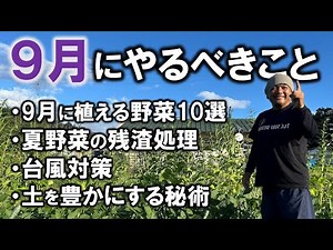 [Home gardening/natural farming] What to do in September