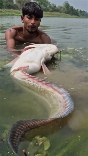 Super Big Fish Catching By Hands