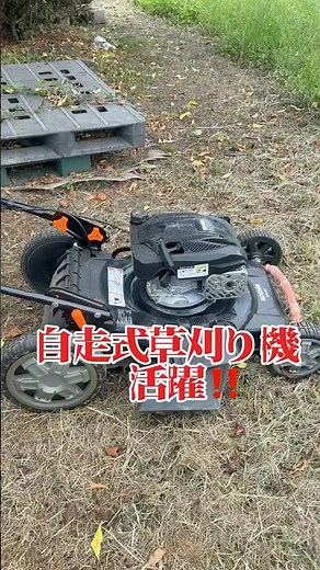 自走式草刈り機活躍‼️