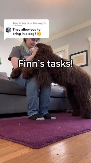 Service Dog Tasks for Autism: Deep Pressure Therapy & Crowd Control