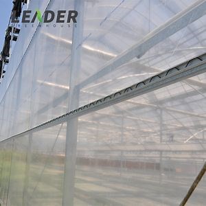 [Hot Item] Professional Multi-Span Film Tunnel Agriculture Greenhouse with Hydroponic System