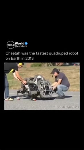 world on Instagram: "FOLLOW 👉🏼 @worldbyris to learn something new every day 🧠🤖✨ WildCat is a four-legged robot developed by Boston Dynamics under DARPA’s M3 program. It’s an untethered evolution of the Cheetah robot, designed specifically for rough outdoor environments. While the Cheetah once held the record as the fastest legged robot at 29 mph, WildCat currently reaches speeds of up to 16 mph using dynamic bounding and galloping movements. The long-term goal? A robot that can sprint at 50