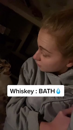 Whiskey’s late night crisis🌙✨ #whiskeythecat #fyp #foryoupage #foryou #catmom