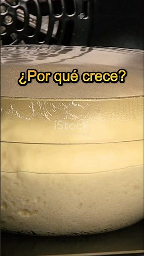 Qué es la LEVADURA y por qué hace crecer la masa 🍞