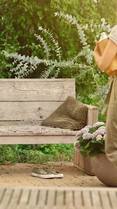 🍃 Hai un balcone, un giardino o un orto? Scegli COMPO come alleato per aver piante belle e forti. | Il mio COMPO Giardino