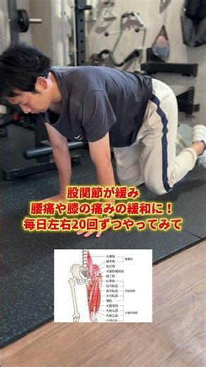 股関節運動‼️#腰痛#膝痛