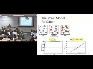 Concerted MODEL of allostery for a dimer (tense vs. relaxed states)