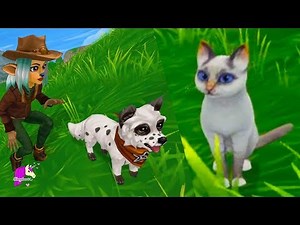 New Cat + Dog Star Stable Online Yule Goats Quest Review Let's Play Horse Video