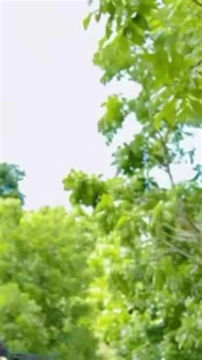 บัญชีที่แนะนำ