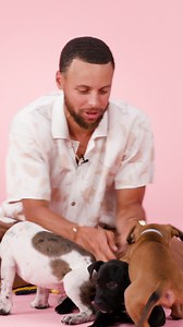 These pups got a little too frisky on camera while we interviewed Stephen Curry. Thank you to North Shore Animal League America | BuzzFeed Celeb