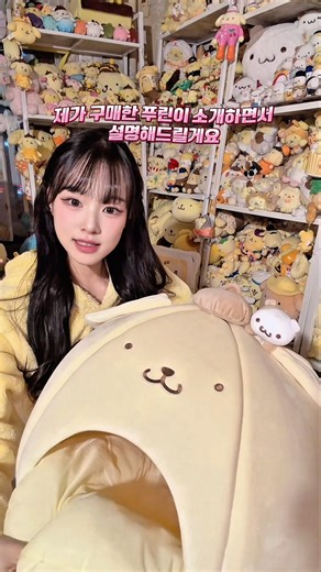 I'll show you how to order Pompompurin directly from overseas🐾🐶 #Sanrio #Pompompurin #DirectPurch...