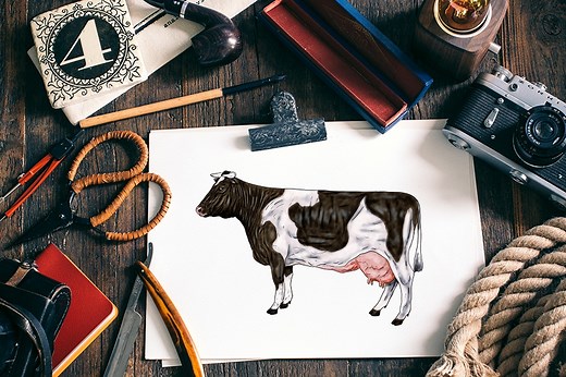 How to Draw a Cow - The Best Tutorial for Easy Cow Drawing