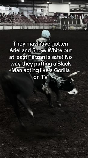 Tarzan's Safety: A Bull Riding Perspective