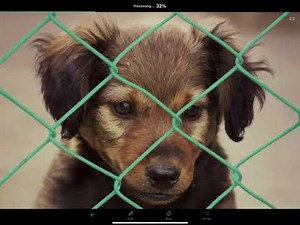 TouchRetouch 5 is already available