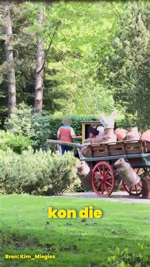 Visitor jumps out of Efteling attraction!