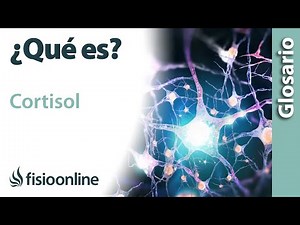 CORTISOL| Qué es, qué órgano la segrega, efectos, en qué estructuras del cuerpo actúa
