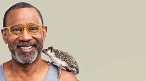 LTS Micro Array Patches