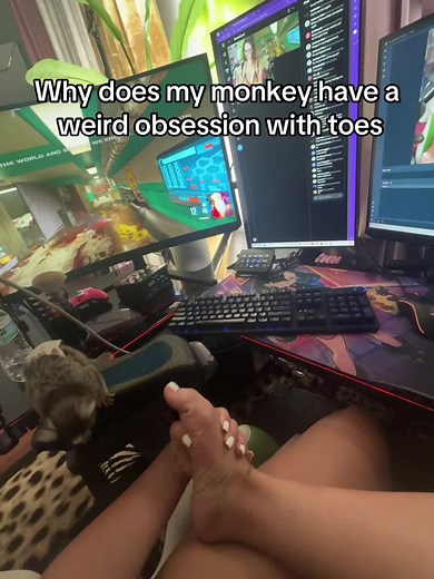 Probably Scamming (@exclusive.trigga)’s videos with BDSM MSTRIGGAHAPPY - Probably Scamming